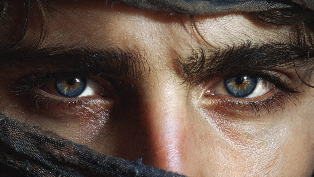 Close-up of Paul Atreides's eyes in Dune